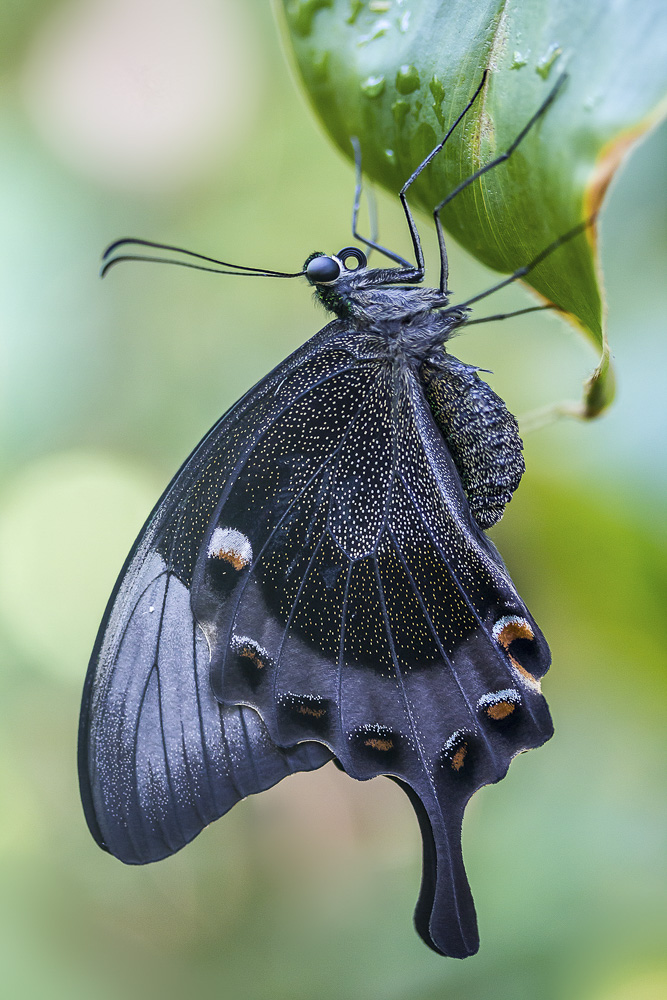 Monatsbilder August 2016